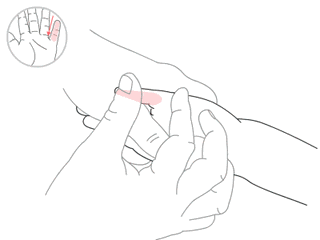 补肾经.gif