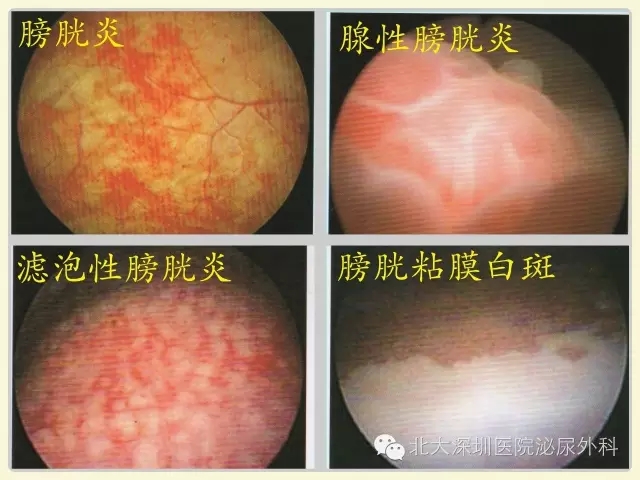 640_爱奇艺.jpg