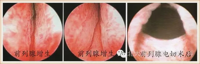 640_爱奇艺(1).jpg