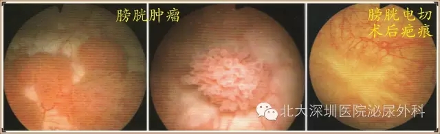640_爱奇艺(3).jpg