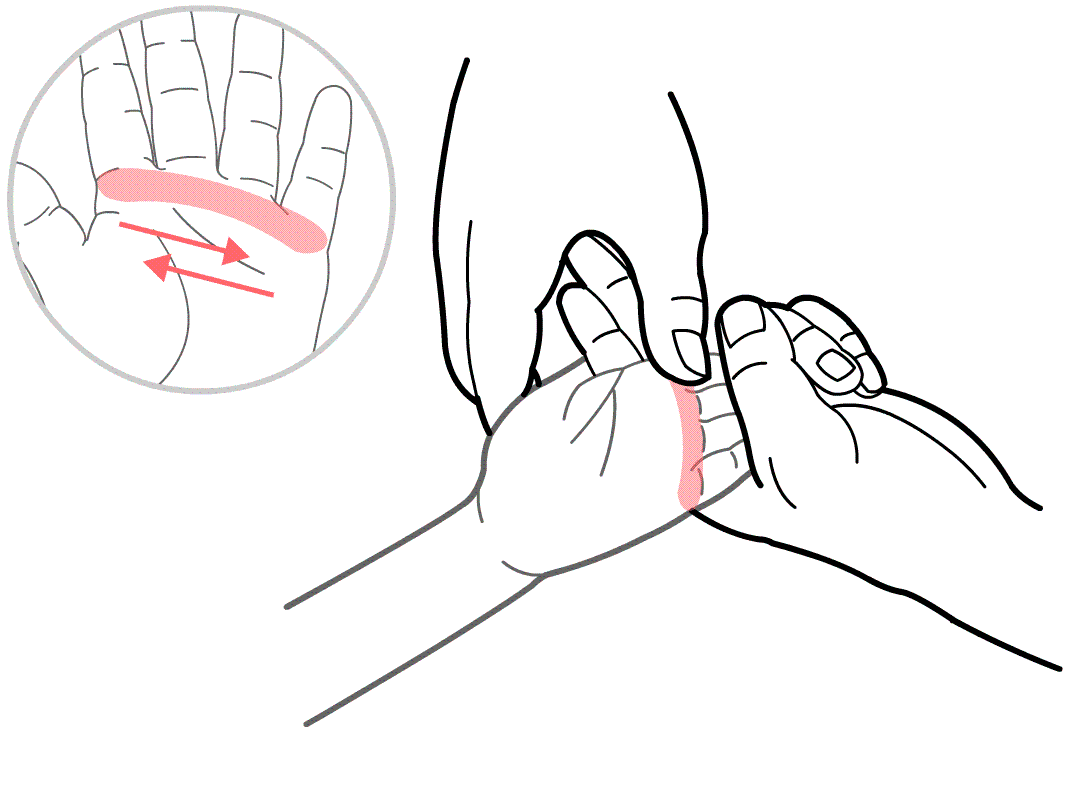 四横纹.gif