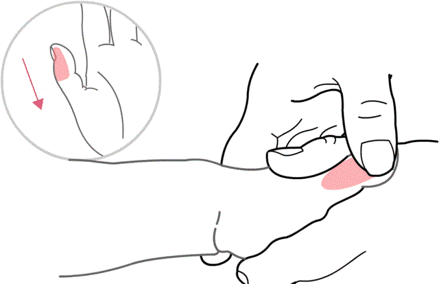 补脾经直推.gif