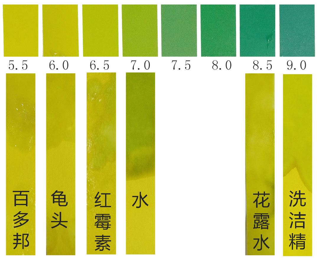 1523541976809070.jpg ph2.jpg