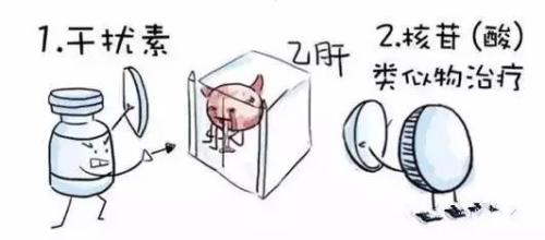 药物类型.jpg