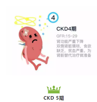 image006.png