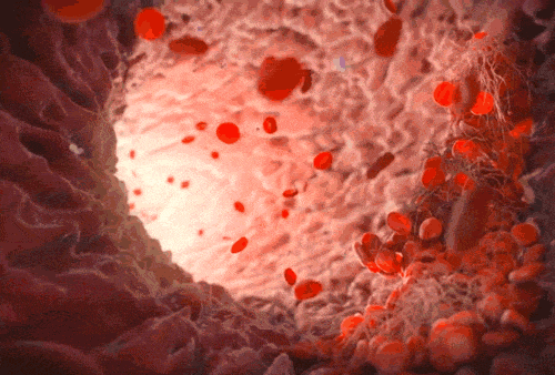 41A705CB8046D123DAF191F1528C84C116B40421_size957_w500_h338.gif