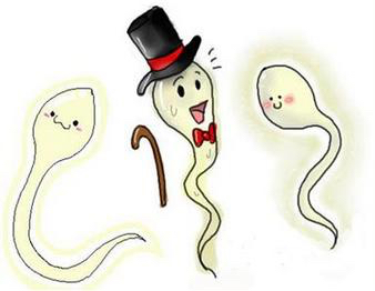 1530511071692308.jpg 04c0b214b88ff298c3d4dde64ec01ef3.jpg