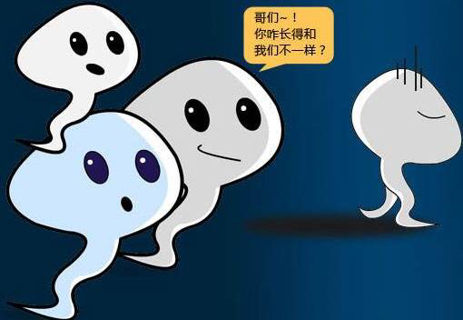 1530511084771386.jpg 2efa97536757864a4b21a5b46c9942dc.jpg