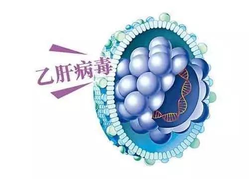微信图片_20180822183724.jpg