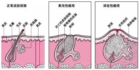 1535892855976076.jpg 20160118_160349_7443.jpg