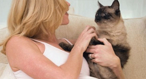 1535966934163016.png 8d5494eef01f3a291821bece9a25bc315d607cc0.png