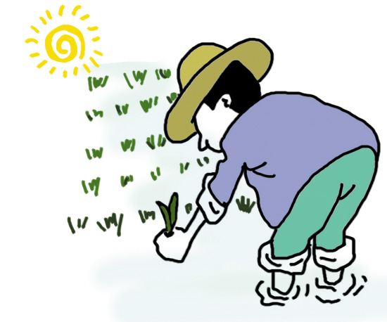 不孕都是宫寒吗从种田的角度告诉你真相