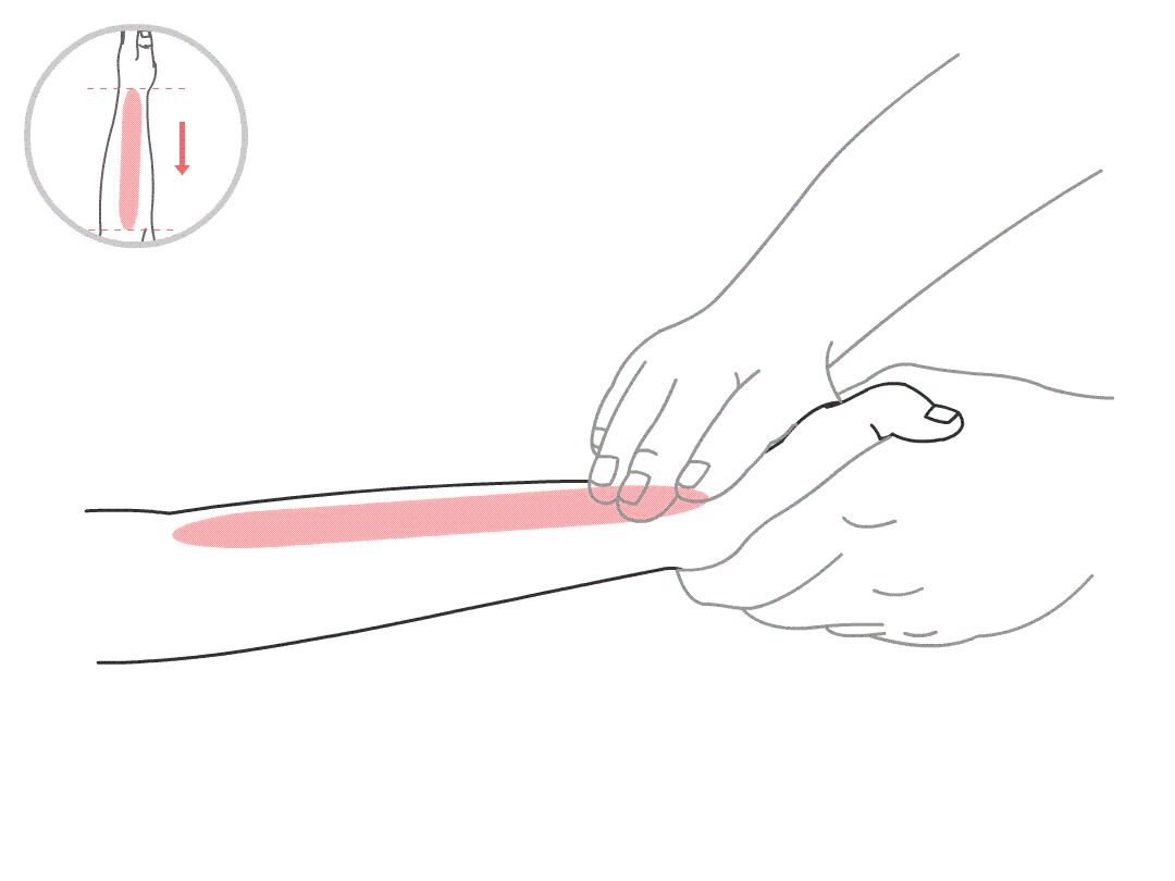 timg (9).gif
