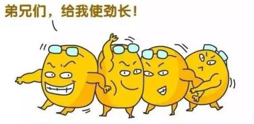 u_1039064597_1467845435&fm_26&gp_0 - 副本.jpg