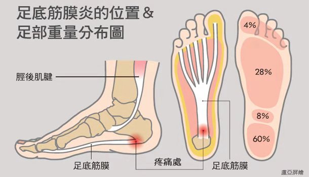 WeChat 圖片_20181126213134.jpg