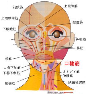 d010e67bb3a5ecacf979d7342f9662adfe7129d478fb-YDfa4M_fw658.jpg