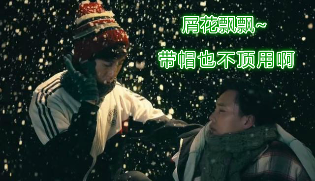 袁华雪花.jpg