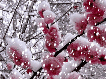 d2af37c1c9f1a8f6ebc0f210524b7ab7.gif