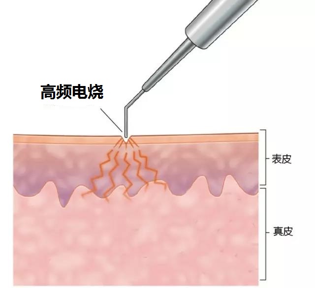 微信图片_20181231100755.jpg