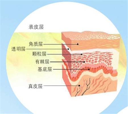 微信图片_20190109013808.jpg