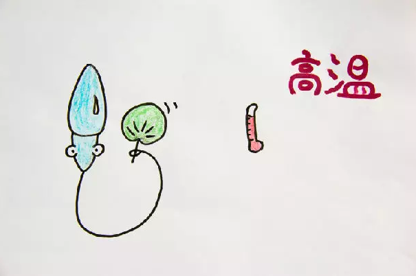 微信截图_20190116094800.png