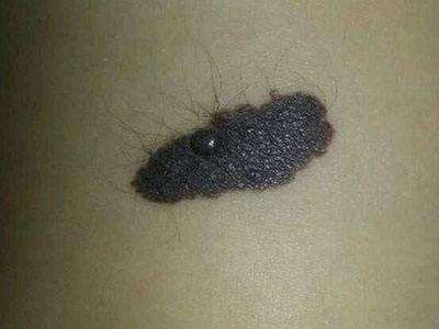 1548747887957105.jpg timg (3).jpg