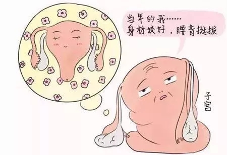 640.webp.jpg