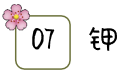 微信截图_20190124152559.png