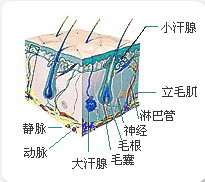 8274ad8a38b7cdf6f453985df3d73df.png