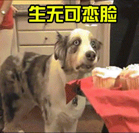 4301ba0d500070adb2732c4cf0ea6bf6.gif