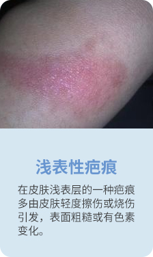 p1_01.jpg