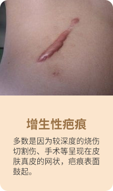 p1_02.jpg
