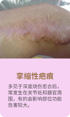 p1_04.jpg