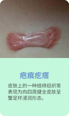 p1_05.jpg