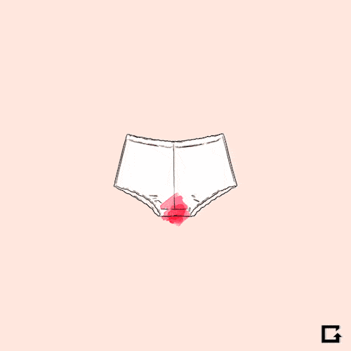 timg (7).gif