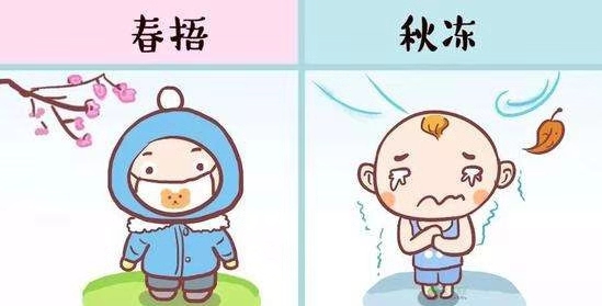 1550995452183536.jpg 55922667267491739.jpg