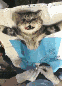 手术痛苦.gif