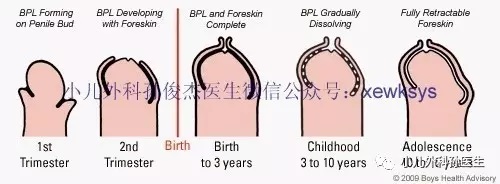 无标题2.jpg