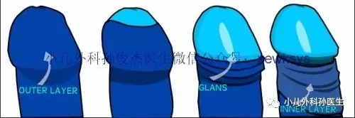 无标题3.jpg
