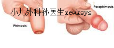 untitled1234.png