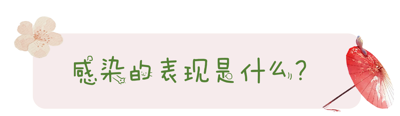 图片1fxcgnd.png