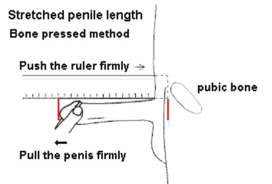 22191.jpg