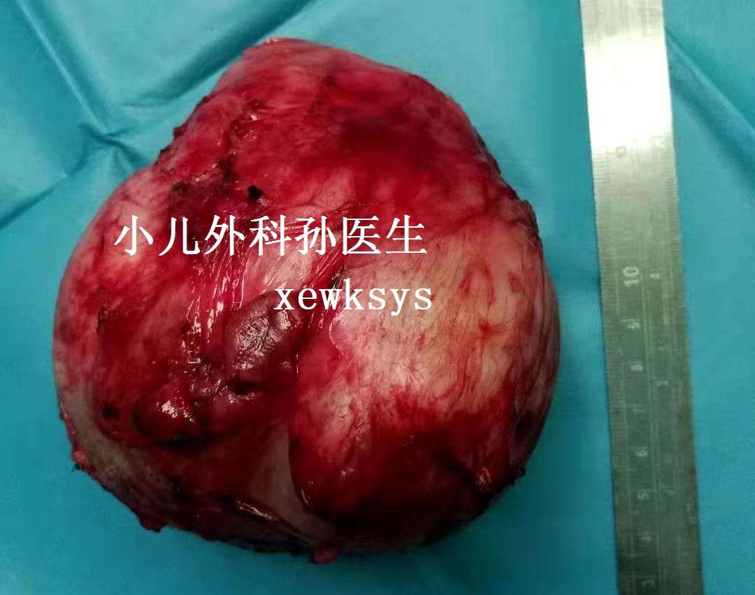 微信图片_20190307221337.jpg