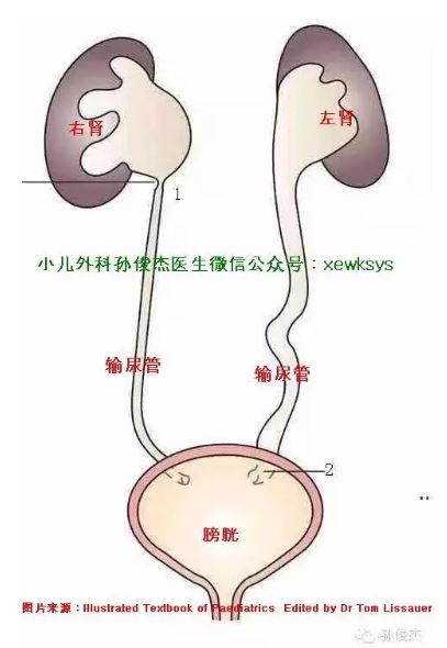 捕获02.JPG