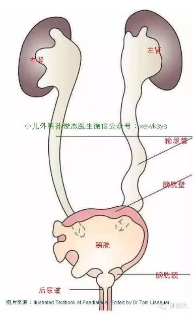捕获03.JPG