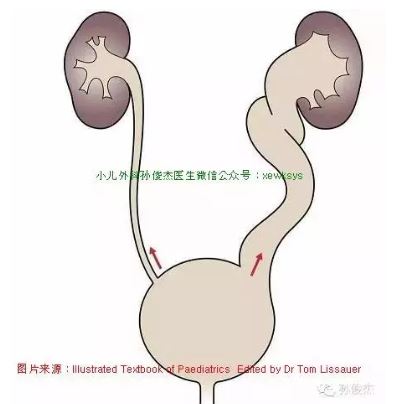 捕获04.JPG