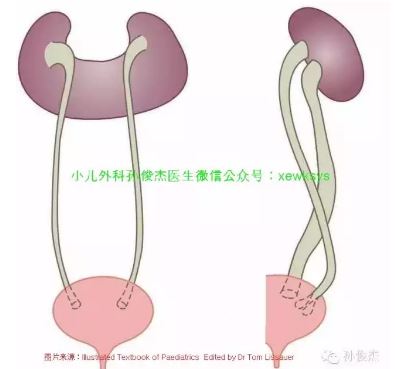 捕获05.JPG
