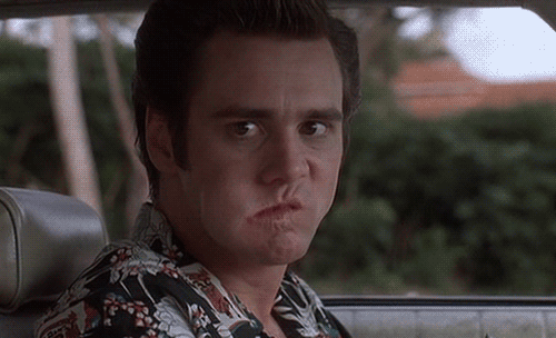 555555.gif