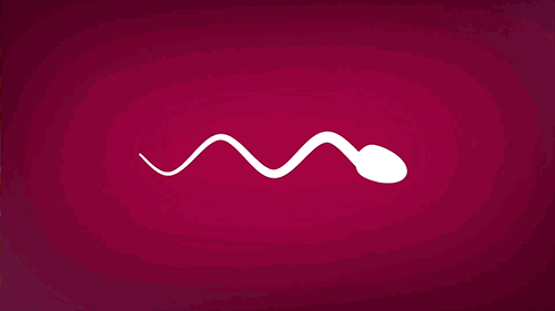 f6b6f57f6522480db1f0acf35bb676b6.gif