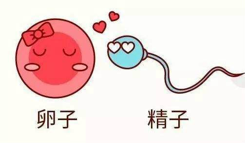 timg (5).jfif_meitu_1.jpg